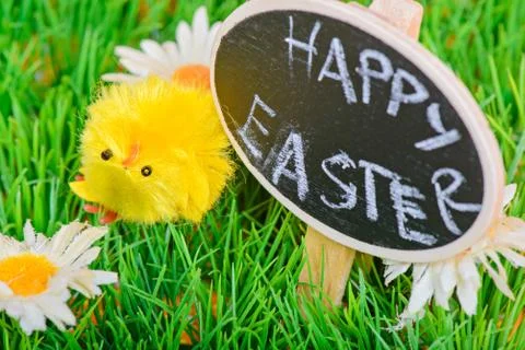 Small easter chicken on the grass Стоковые фото