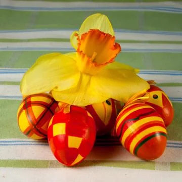 Small Easter Egg and Narcissus Stock Photos