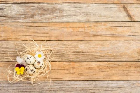 Small easter nest with eggs and blossoms on wood background Foto stock