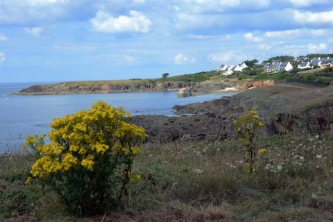 Small edge of flowered ocean with small village Stock Photos