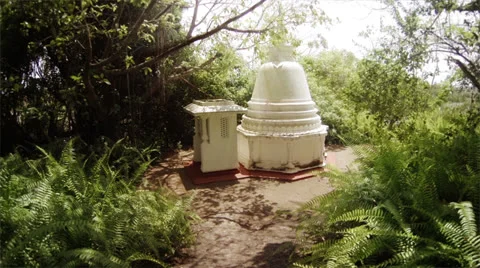 Small element of a buddhist temple in the forest. sri lanka Stock Footage 25128780