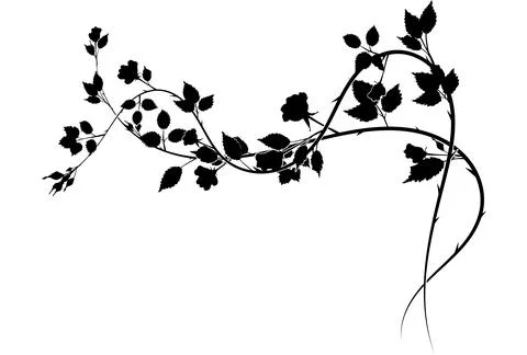 Small element pattern roses weaving plants. vector Stock Illustration
