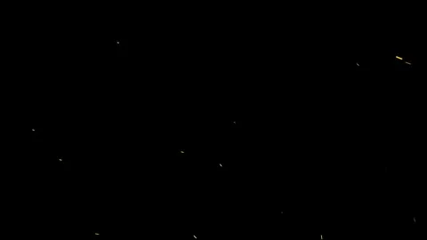 Small Embers Stock-Footage 116736479