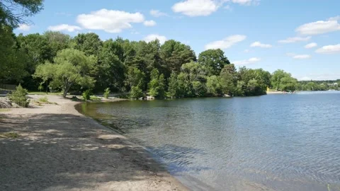 A small empty beach with trees behind and clear water Stock Footage 200790643