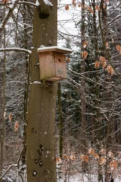 Small empty birdhouse on a tree in the forest winter time snow on the ground Fotos de archivo
