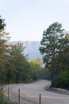 Small empty forest path in russian north woods Stock Photos