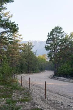 Small empty forest path in russian north woods Stock Photos