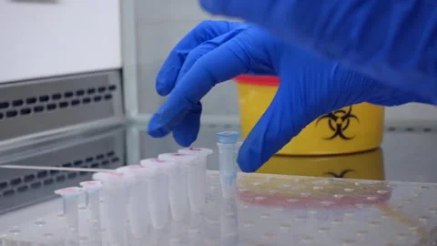 Small eppendorfs for experimentation Stock Footage 241103504