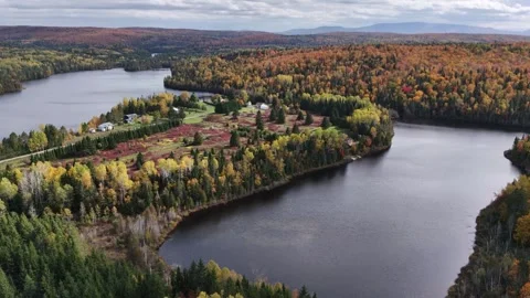 Small estate between two lakes, surrounded by vibrant autumn boreal forest Stock Footage 346897489