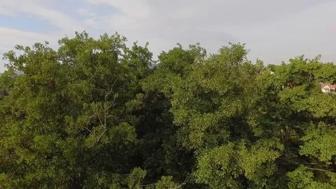 Small european town Stock Footage 80465845