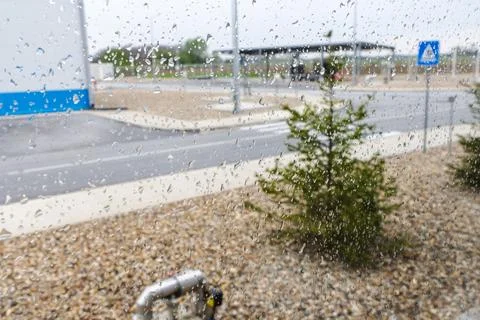 A small evergreen tree grows amidst a rocky, industrial environment Stock Photos