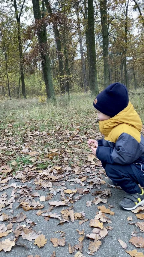 A small fair-skinned child feeds a wild squirrel with walnuts in an autumn park. Stock Footage 142592157