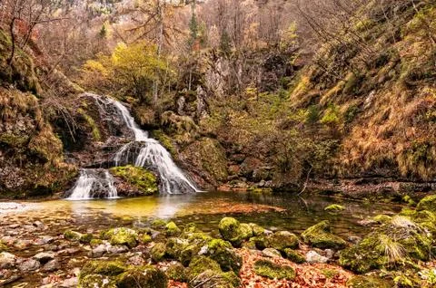Small fall in the forest in autumn Foto stock