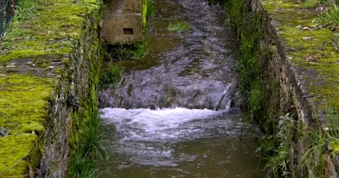 Small fall in small mossy stream Stock-Footage 264966340