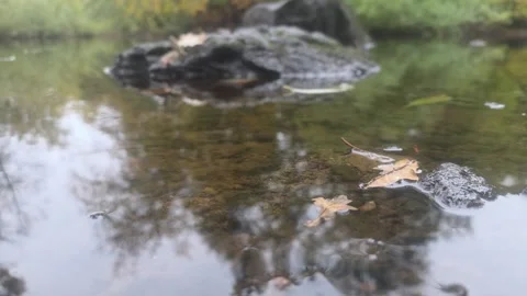 Small Fallen Leaf Floating Near River Rocks On Calm Reflective Water Stock Footage 348063025