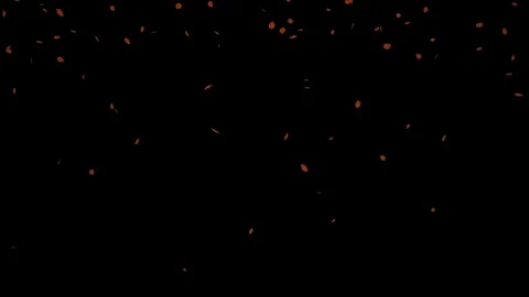 Small falling red leaves loop isolated with an alpha channel Stock Footage 255660133