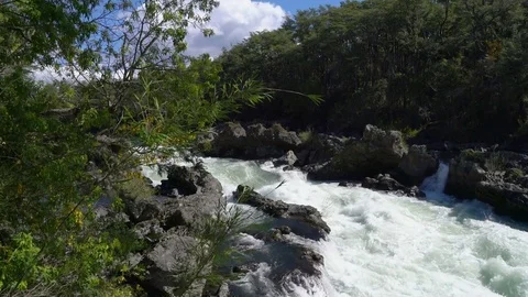 Small falls and whitewater Stock Footage 73248989