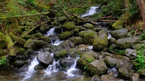 Small Falls, Wallace Falls State Park, Washington Stock Footage 89849722