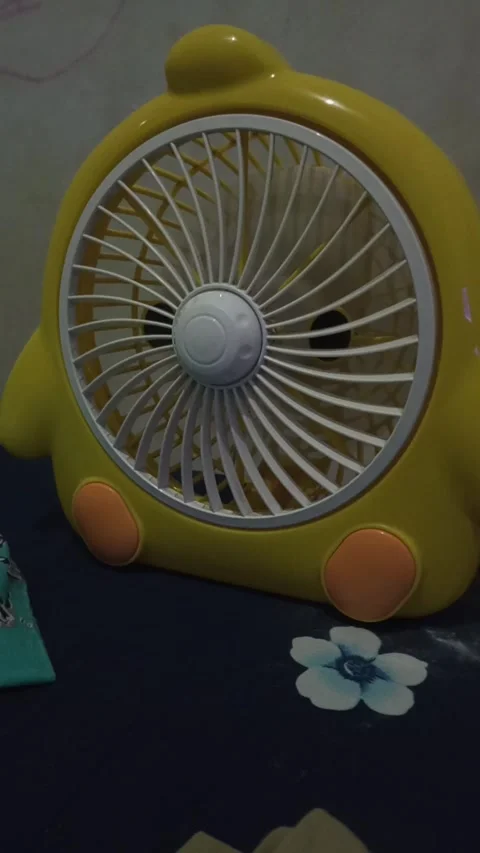 Small fan Video stock 310845317
