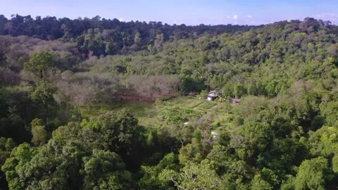Small farm amongst forest on remote island, AERIAL Stock Footage 130249725