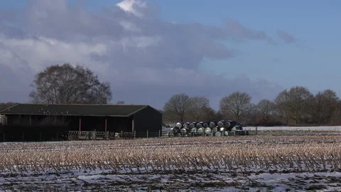 Small farm with crops and bails UK 4K Video stock 147706491