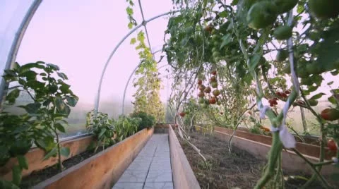 A small farm hothouse for agricultures Stock Footage 68064237