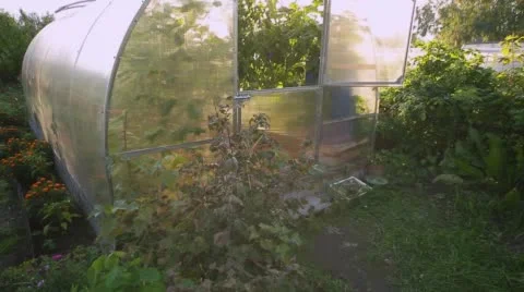 A small farm hothouse for agricultures Stock Footage 68064313