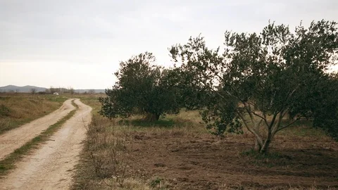 Small Farm Road  Stock Footage 124704725