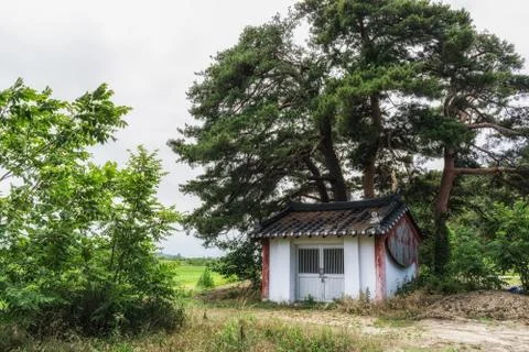 Small farm storage under pine tree forest Stock Photos