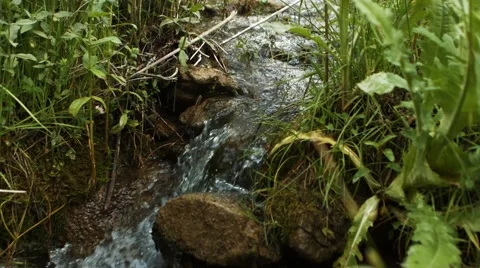 Small Fast Paced River Stock Footage 53232763