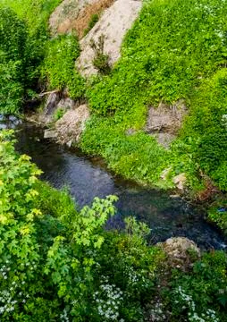 Small fast river Stock Photos