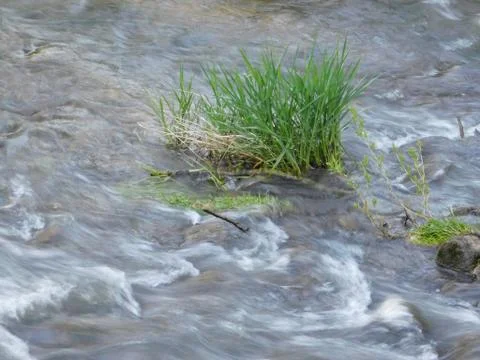 Small but fast river Stock Photos