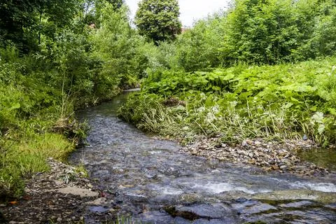 A small fast river Stock Photos