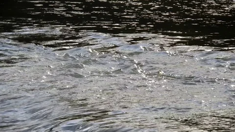 Small fast stream flow on beautiful river Stock Footage 88398494