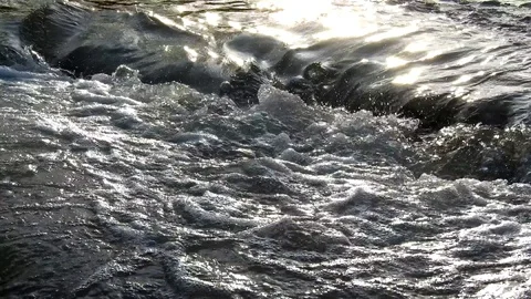 Small fast stream flow on beautiful river Stock Footage 88398575