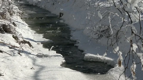 A small fast stream in the frozen river bed. The ice is covered with snow. Nice Stock Footage 124648507
