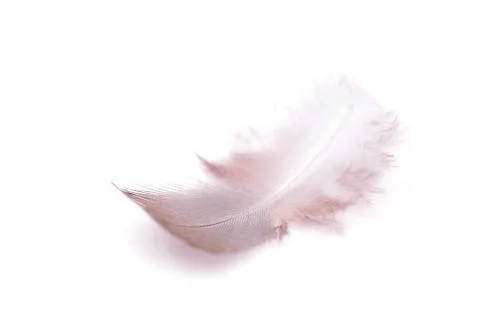 The small feather on a white background Stock Photos