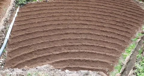 A small field plot in Jardim do Mar on Madeira. Vídeos de archivo 239472138