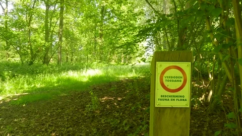 A small field in the woods with a no entry sign in daylight. Stock Footage 244587310