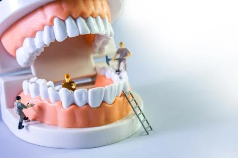 Small figure worker cleaning tooth model as medical and healthcare concept, R Stock Photos