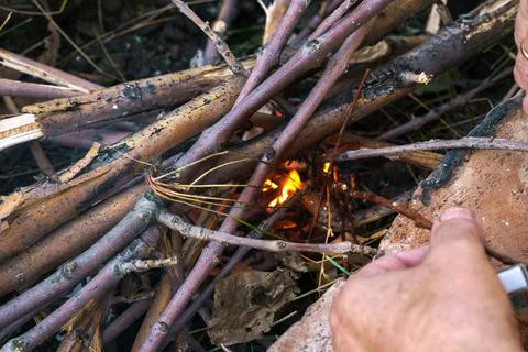 Small fire in a campfire made of branches Stock Photos
