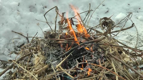 A small fire Stock Footage 47651780