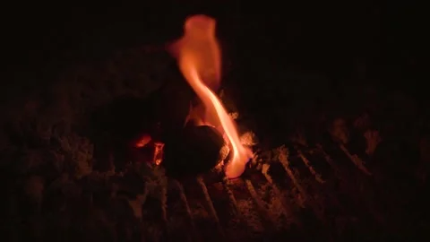 Small Fire Stock Footage 168898979