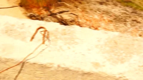 A small fire. Stock Footage 238633769