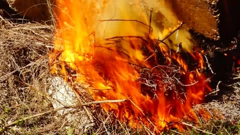 A small fire. Stock Footage 238633783