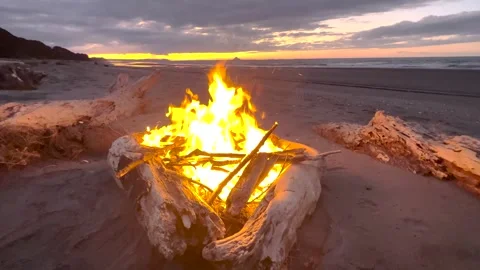 Small fire place from driftwood on New Zealand remote beach. Freedom, camping Stock Footage 328626859