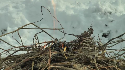 A small fire on a snowy background Stock Footage 47651820