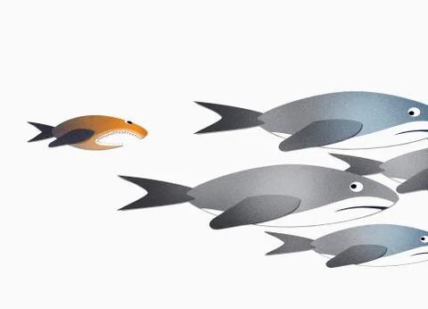 A small fish chasing sharks over white background Illustrazione stock