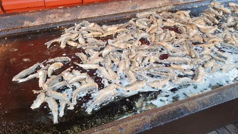 Small fish is fried on a frying pan in the Christmas market in Hanover Stock Footage 99861214