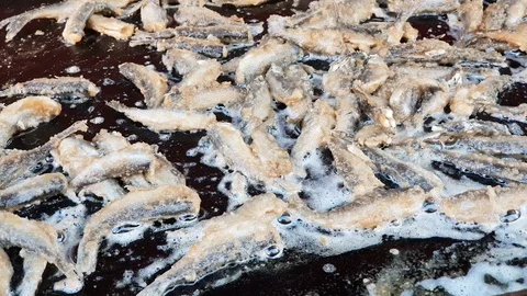 Small fish is fried on a frying pan in the Christmas market in Hanover Video stock 99861357